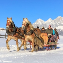 352228-pferdeschlitten-obertal--c--martin-huber